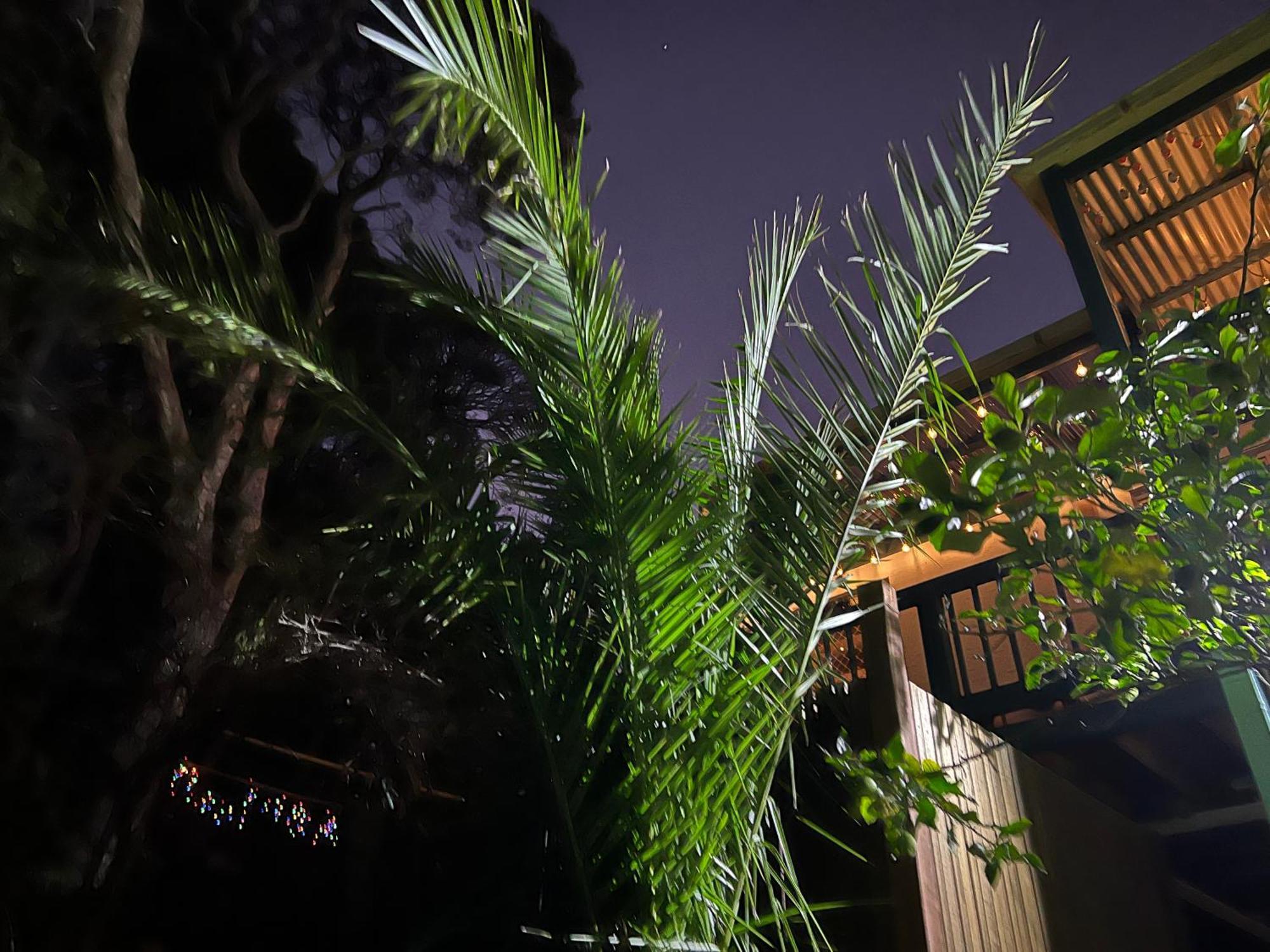 Nest On A Crest Villa Rye Exterior foto